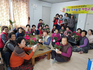 식물과 함께 행복한 겨울 보내세요!