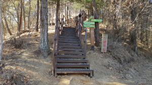 문경 매봉산 등산로 새롭게 단장