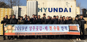 새해 ‘상주배·곶감’ 베트남 첫 수출