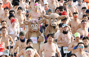 알몸 마라톤 참가한 황금돼지