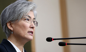 강경화 “개성공단·금강산관광 재개 검토 단계 아냐”