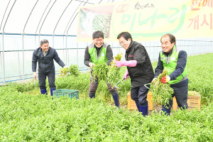 문경새재 청정미나리 특산물로 자리 잡아