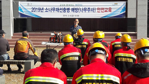 청송군, 소나무 재선충병 선제적 예방 총력