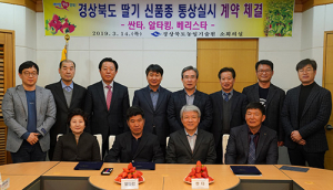 경북농기원, 딸기 신품종 보급에 가속도