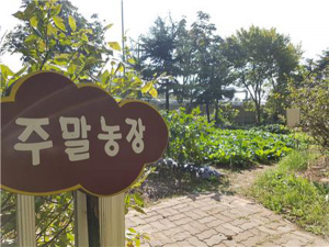 대구환경공단 주말농장 무상분양 신청 안내