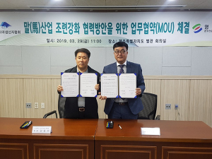 한라마, 운주산승마조련센터서 전문승용마로 조련