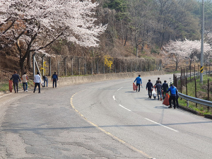 대가야체험축제맞이 환경정화활동 실시
