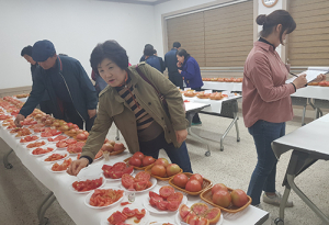 ‘제5회 경주 이사금 토마토 품평회’ 개최
