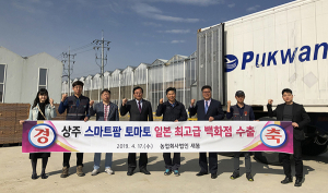 상주 스마트팜 토마토 일본 최고급 백화점으로 진출