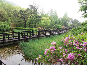 “가족 봄 나들이, 이젠 경북 수목원으로 오세요”