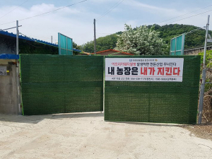 영천시, 구제역·아프리카 돼지열병 차단방역 총력