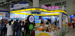 성주군, 명품대구경북박람회 행복성주 알려 