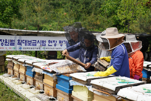 꿀 채밀량 역시 최고…장원벌 확대보급 시범사업 작황평가회 가져 