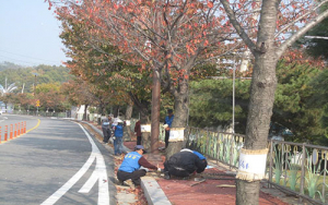 봉화군, 하반기 공공근로사업 시행
