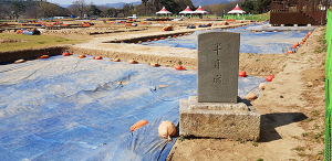 신라왕경복원사업 탄력…특별법 국회 문체위 통과