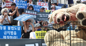 동물단체 “개식용 방치는 기본권 침해”…헌법소원 낸다