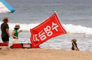동해안 높은 파도 수영금지