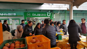 소백산의 선물 ‘영주과일’ 서울서 판매행사