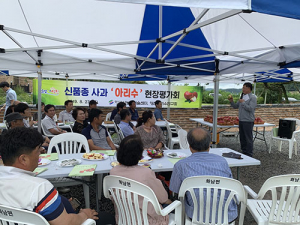 영천 사과, 국산 신품종으로 소비자 입맛 공략