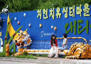 영양군, 관광 이미지 개선을 통한 영양매력 알리기 나서
