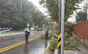 포항시, 태풍 피해 11억4천만원…더 늘어날 듯