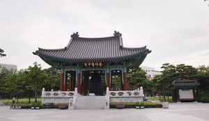 오늘 대구·경북 인사 212명 “조국 파면” 촉구 시국선언