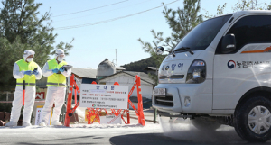 확산되는 아프리카돼지열병…한강 이남 뚫려