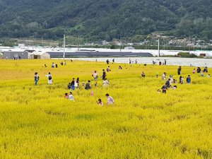 성주군, visit 체험관광상품 판매 개시