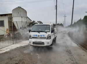 道, 돼지열병 미발생 불구 돼지 2739마리 도태