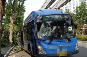 대구 시내버스 가로수와 충돌