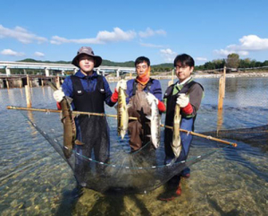 울진 왕피천에 연어가 돌아왔다