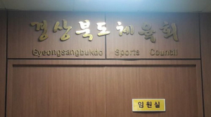 道 첫 민간 체육회장 선거 전·현직 지사 ‘측근 대결’