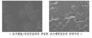 다이텍연구원, ‘코스메틱섬유’ 원천기술 확보
