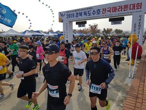 2019 경북 독도수호 전국마라톤대회 성료