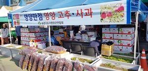 영양군, 농·특산물 홍보·판촉행사