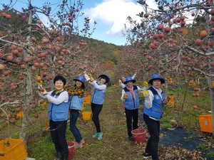한국자유총연맹 대구북구지회, 가을 수확기 농촌일손돕기 봉사