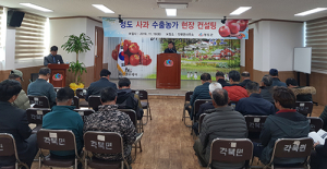 청도사과 수출 위한 현장 컨설팅