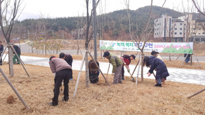 북구, 연경공원에서 ‘숲가꾸기 행사’