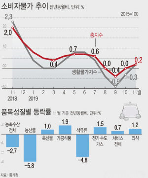 11월 소비자물가 4개월만에 상승…“올해 0% 중반 예상”