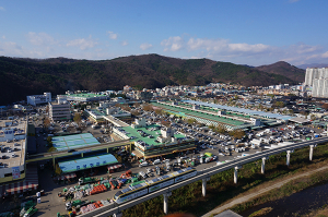 대구 농수산물도매시장 확장 재건축 본격 추진