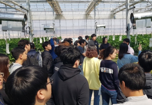 道, 기업유치 청년 일자리 창출 사활
