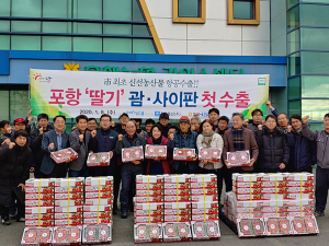 포항 딸기, 괌·사이판 첫 수출