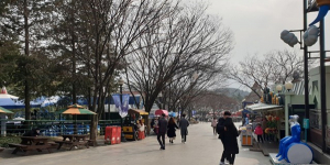 주말 대구지역 우한 폐렴 영향 ‘한산’…마스크 행렬