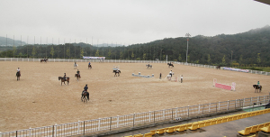 경북도, 말산업 육성 5개년 계획 추진
