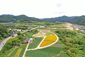 ‘산소카페 청송군’ 명품산림 조성…관광사업 활성화
