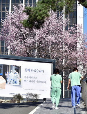 ‘대구동산병원에 봄은 온다’