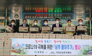 성주군, 상추 재배 농가 돕기 팔 걷어붙여