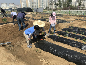 김천시, 행복도시텃밭 개장