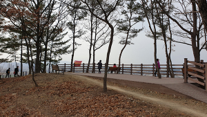 영천시, 금강산성 등산로 개선사업 추진