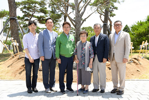 경북도청사에 희귀한 백송 한그루 터 잡다